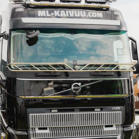 Kuvassa Lintuverkko Volvo FH4